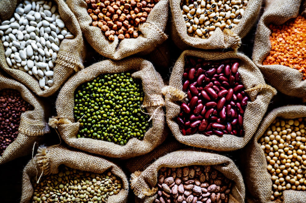 واردات و فروش غلات و حبوبات